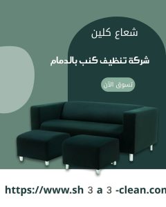 شركات غسيل كنبات