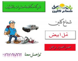 ارخص شركة مكافحة حشرات