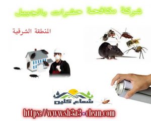 ارخص شركة مكافحة حشرات بالجبيل