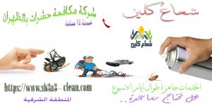 افضل شركة مكافحة حشرات بالظهران