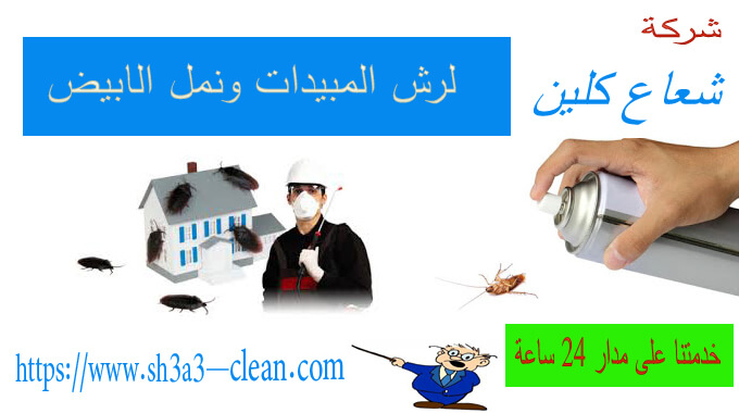 مكافحة نمل ابيض
