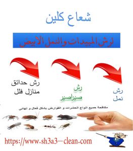رش نمل ابيض رش صيراصير
