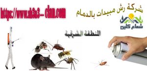 من افضل شركات رش المبيدات بالشرقية