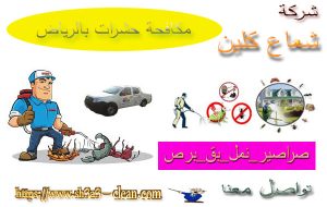 افضل شركات مدينة الرياض