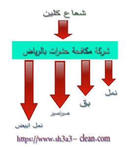 مكافحة نمل بق صيراصير وزغ