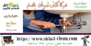 شركات كشف تسربات