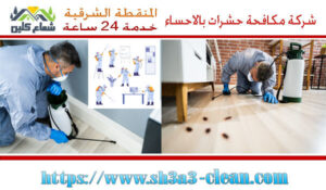 شركات مكافحة حشرات بالاحساء